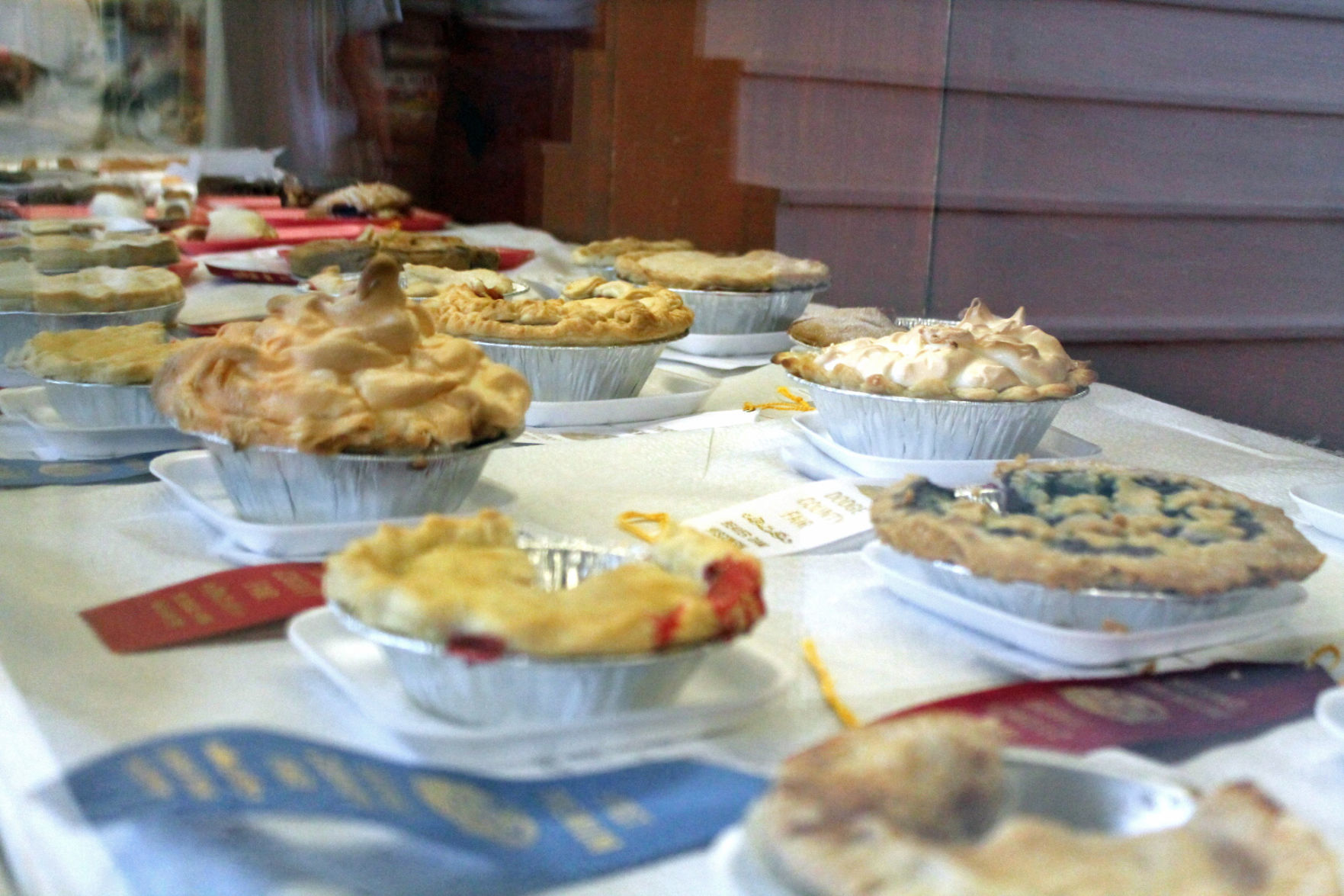 Wed. at the DC Fair 051.JPG